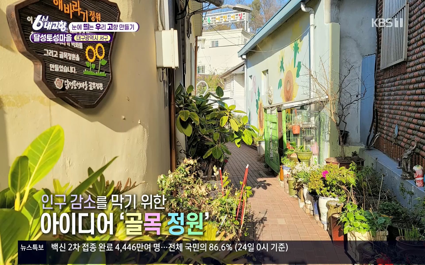 6시 내고향.E7496.220324p.H264-F1RST.mp4_20220328_174951.047.jpg
