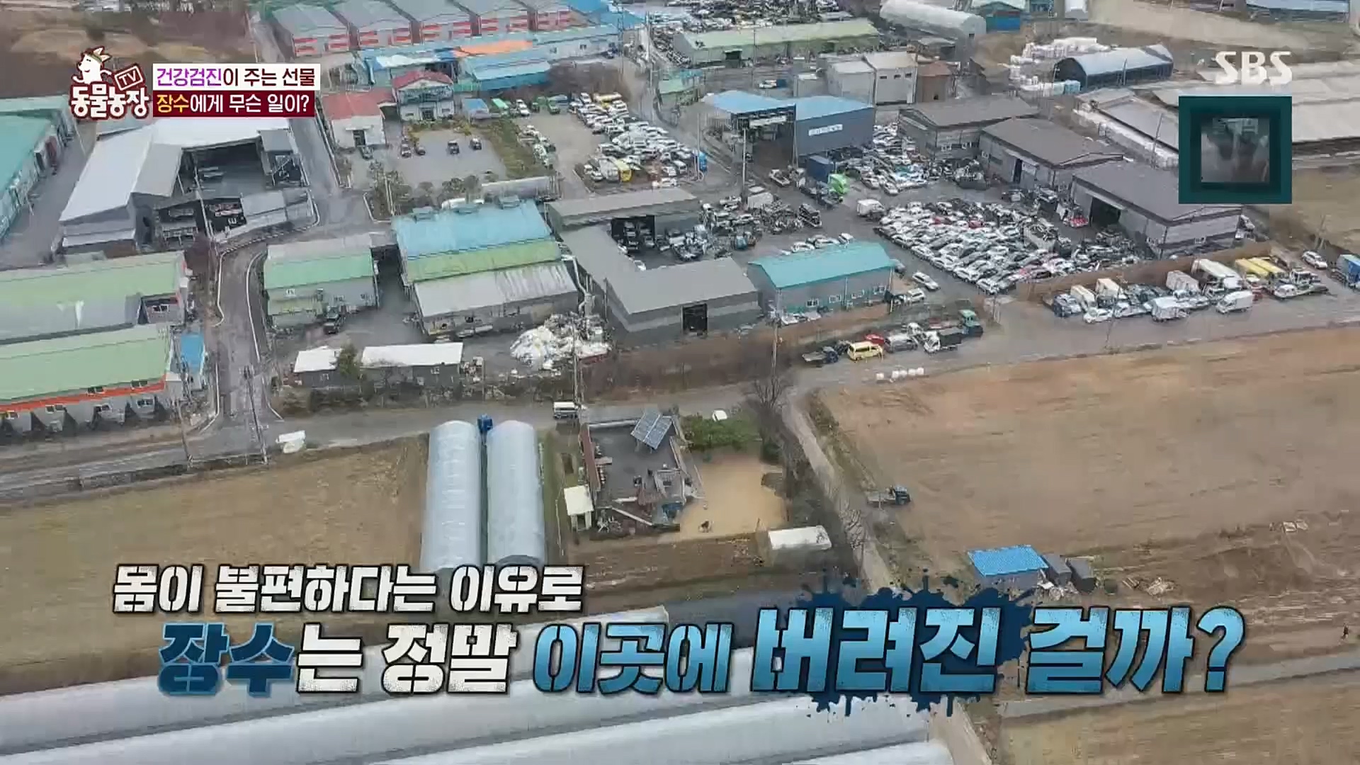 TV 동물농장.E1101.221225p.H264-F1RST.mp4_20221225_190246.022.jpg