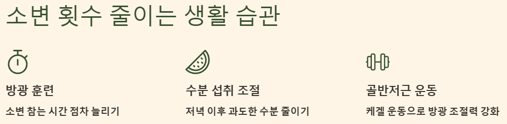 소변 횟수 줄이는 생활 습관 예시