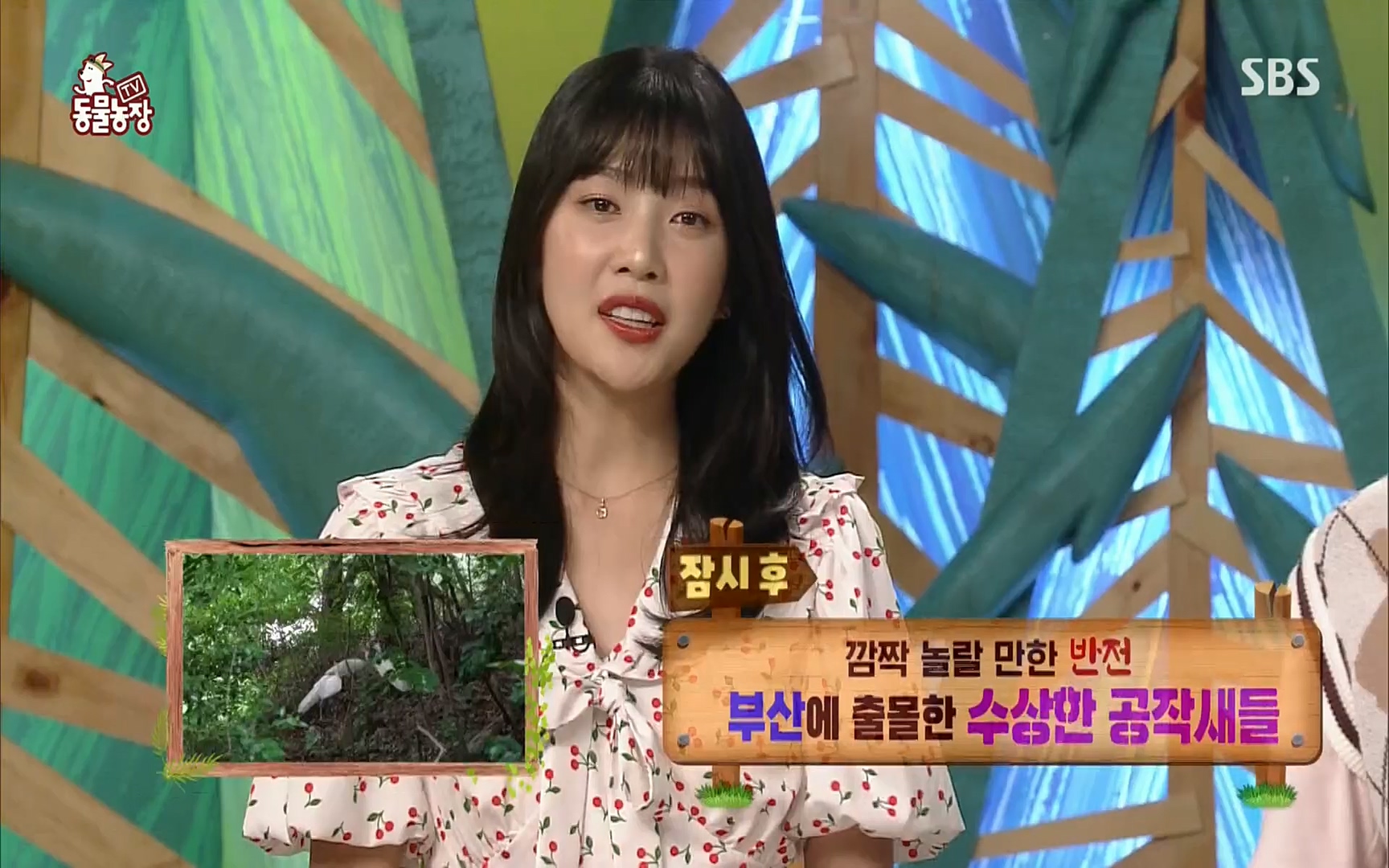 TV 동물농장.E1084.220828p.H264-F1RST.mp4_20220828_154035.524.jpg