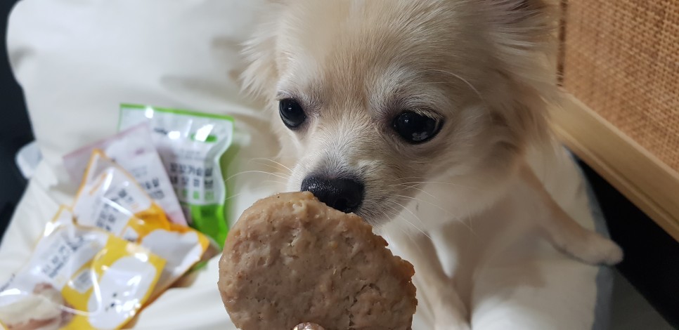 [강아지간식]허닭x핏펫몰 꼬꼬가슴살 맛있는 냄새로 23