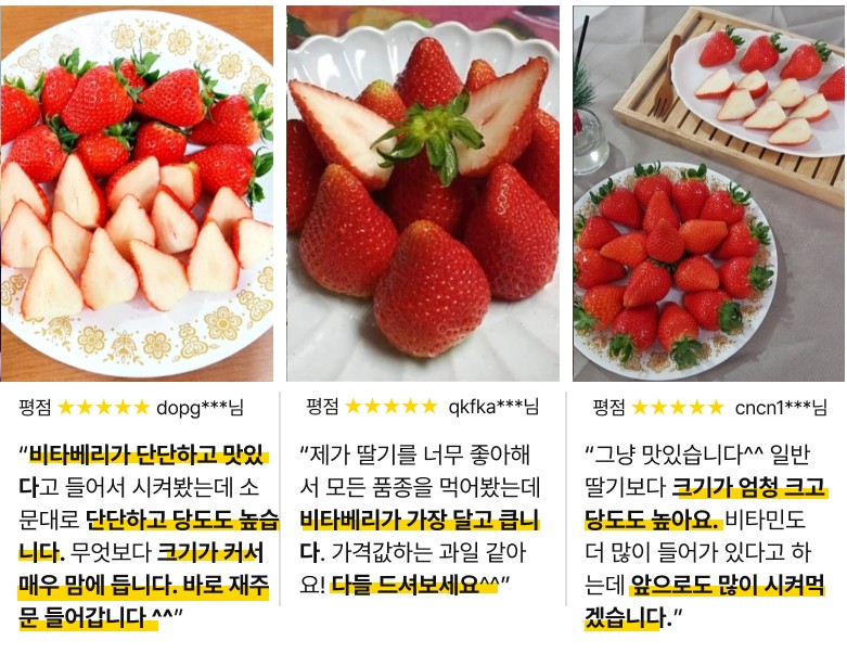  논산 비타베리 파는 곳