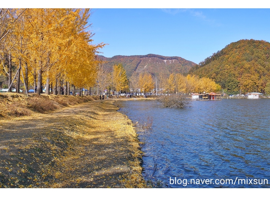 단풍구경 가볼만한 곳 괴산 가볼만한곳 6