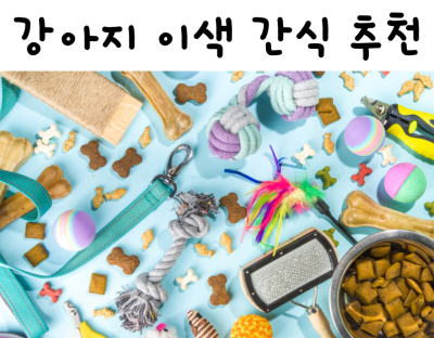  강아지 이색간식 5가지 소개 (Feat. 간식 영양소, 제조과정)