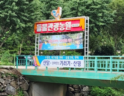 들물 이미지