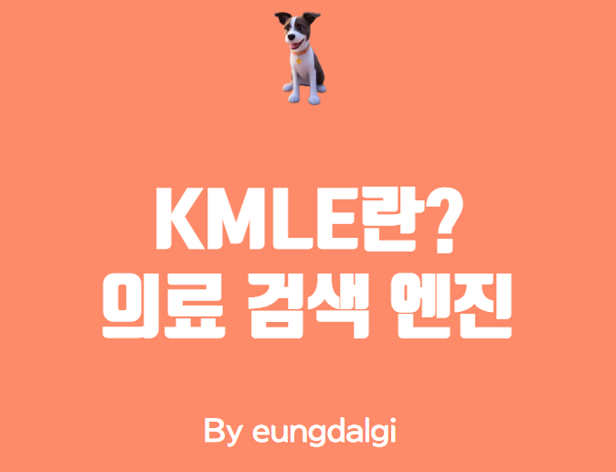  KMLE: 한국어 의료 검색 엔진 알아보기