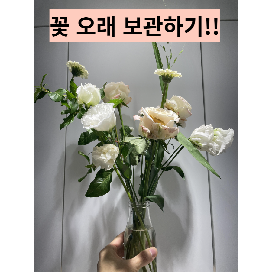  꽃 시들지 않게 오래 보관하는 법