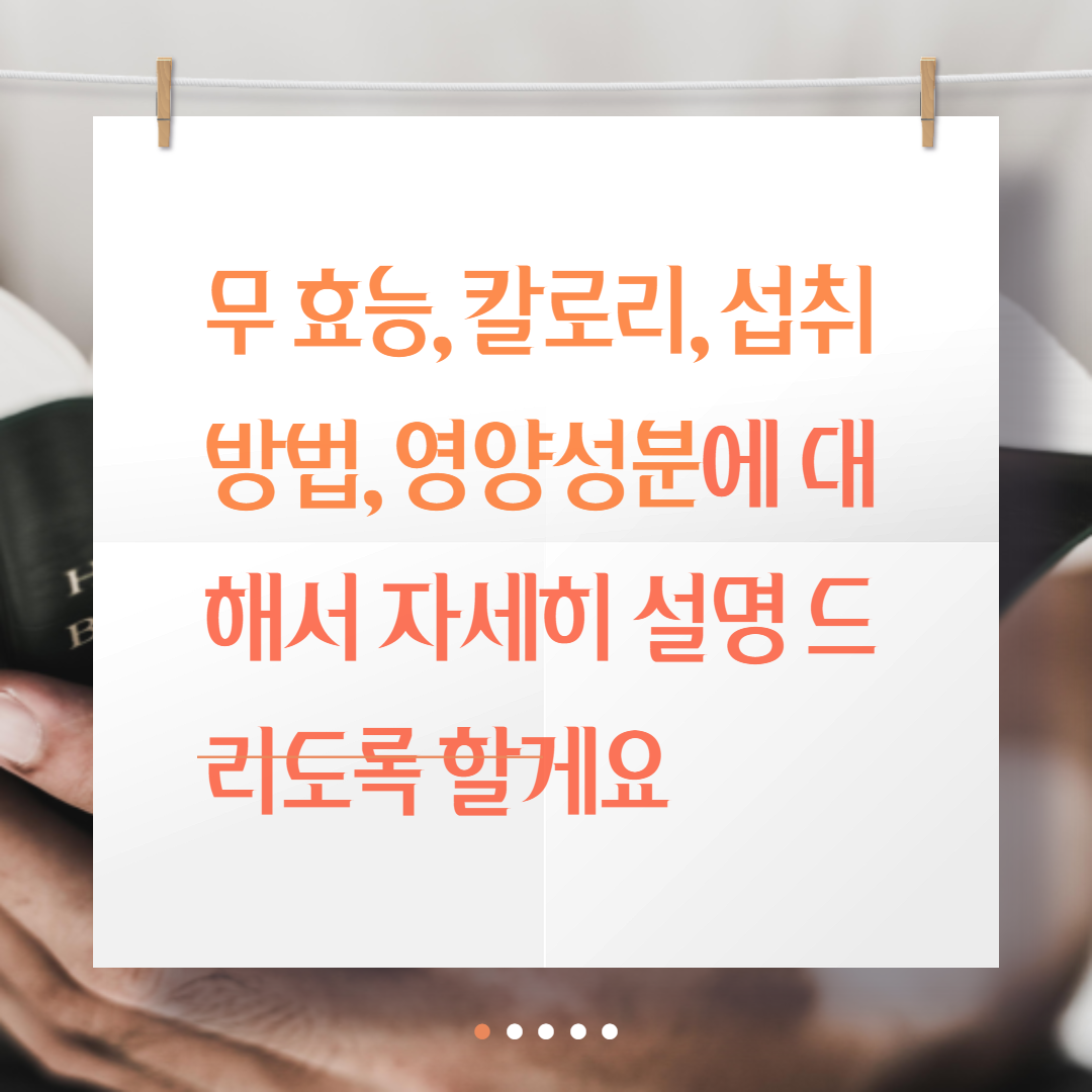  무 효능, 칼로리, 섭취방법, 영양성분