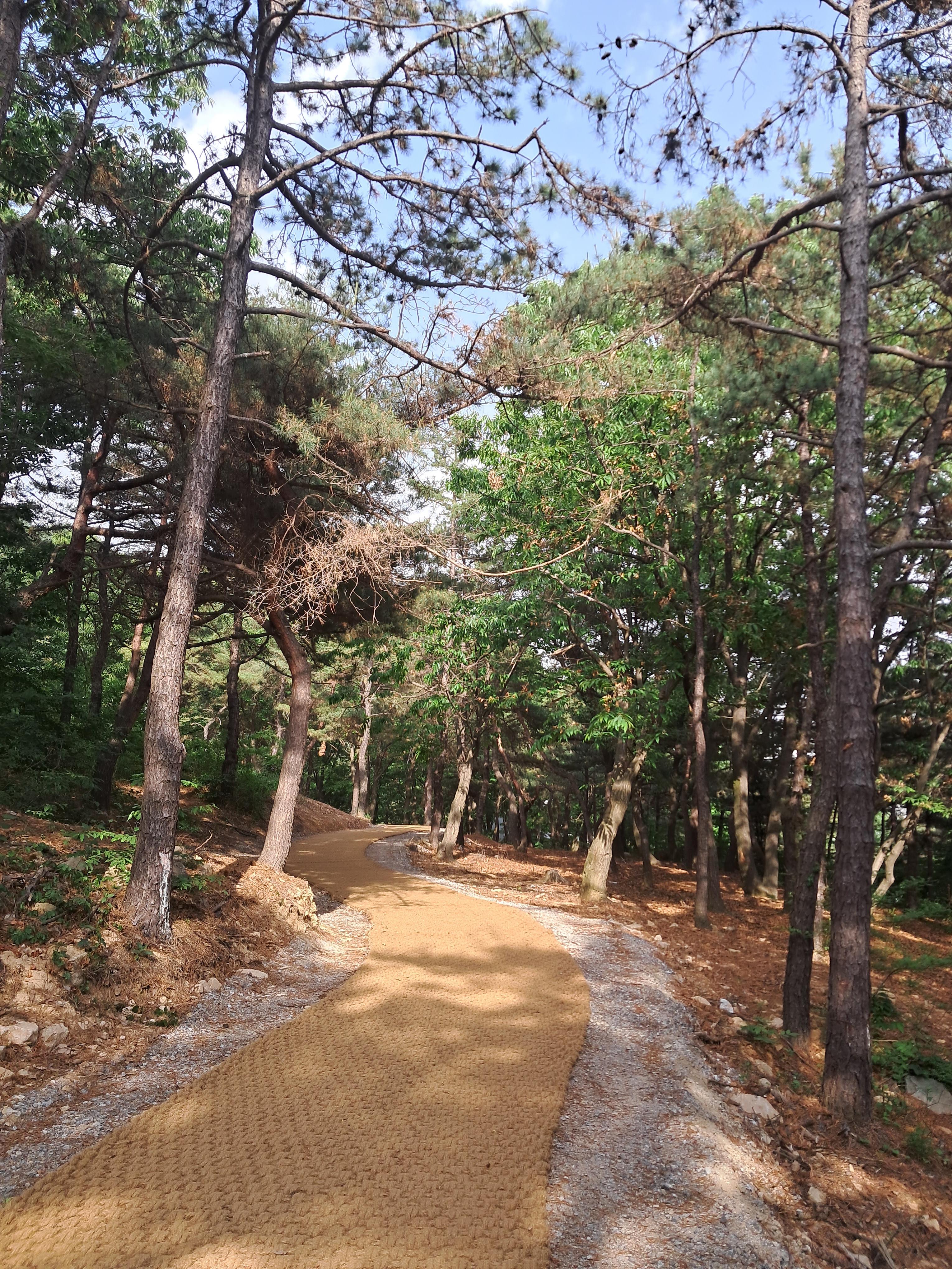인천숲길 계양근린공원
