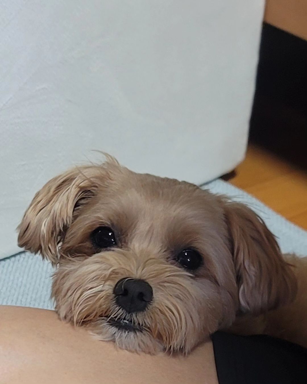 김해준_인스타그램_이미지
