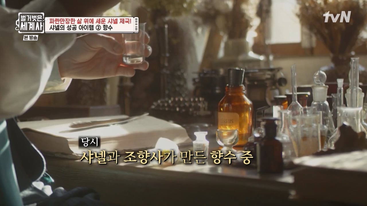 벌거벗은 세계사.E110.230802p-NEXT.mp4_20240217_191008.570.jpg