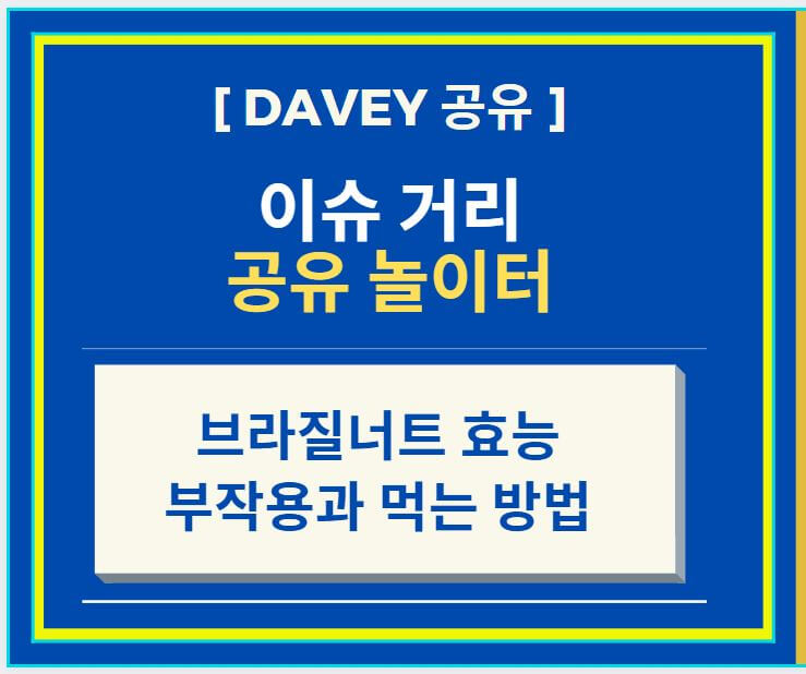  브라질너트 효능과 부작용, 먹는 방법