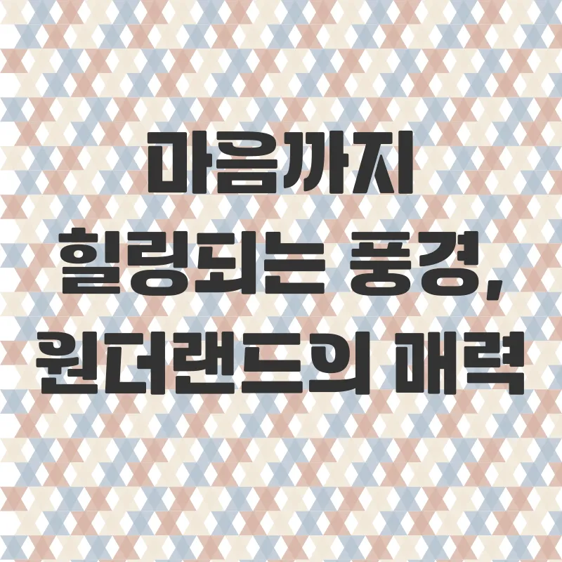 김해반려견동반캠핑_1