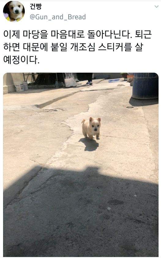  퇴근하면 대문에 붙일 개조심 스티커를 살 예정.twt