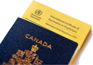 황열 예방접종 증명서, 일명 옐로우카드와 여권이 놓여져 있다