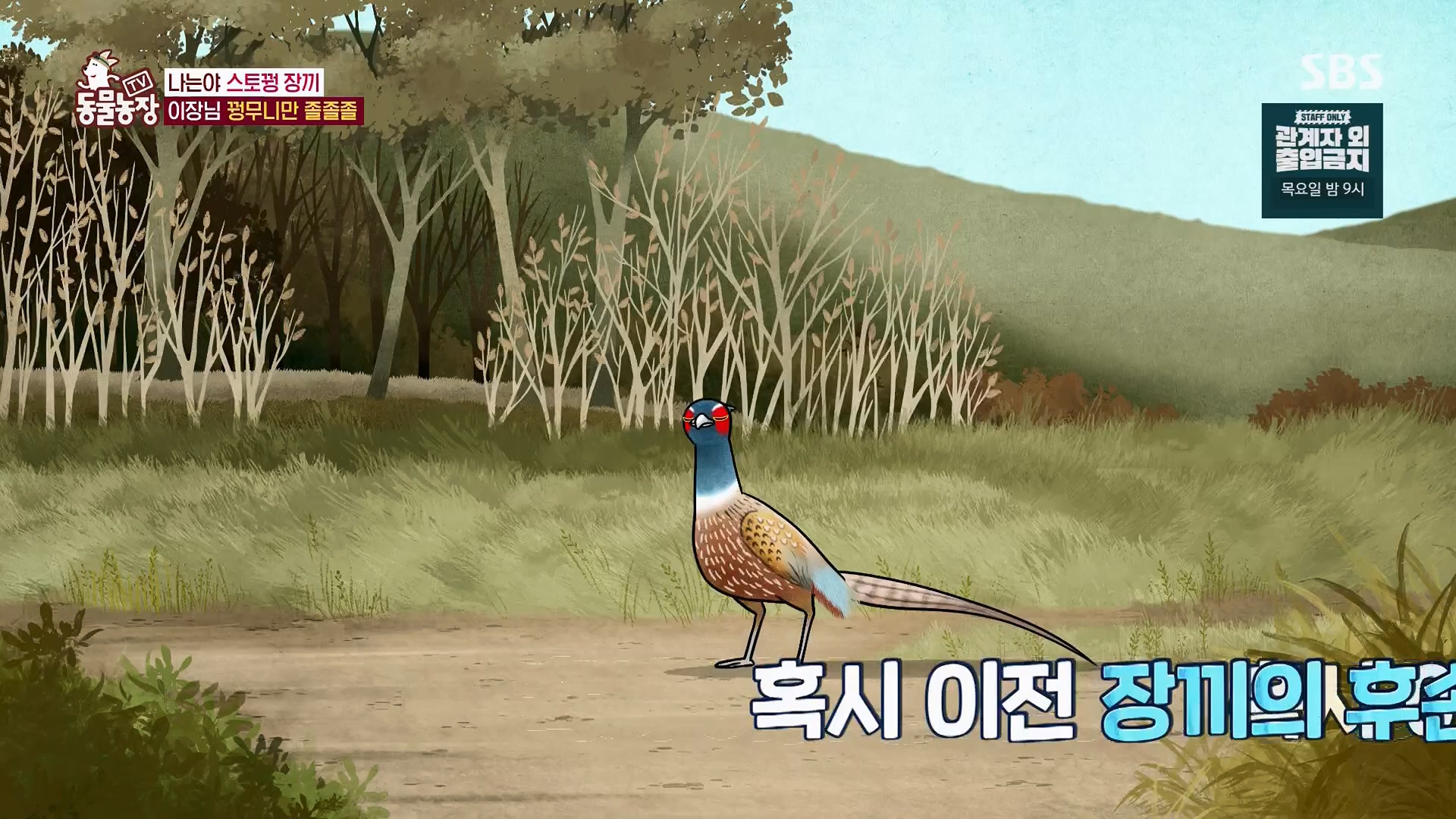 TV 동물농장.E1123.230604p.H264-F1RST.mp4_20230604_173302.210.jpg