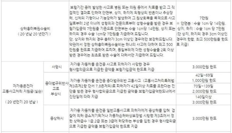 동부화재 운전자보험 보장내용
