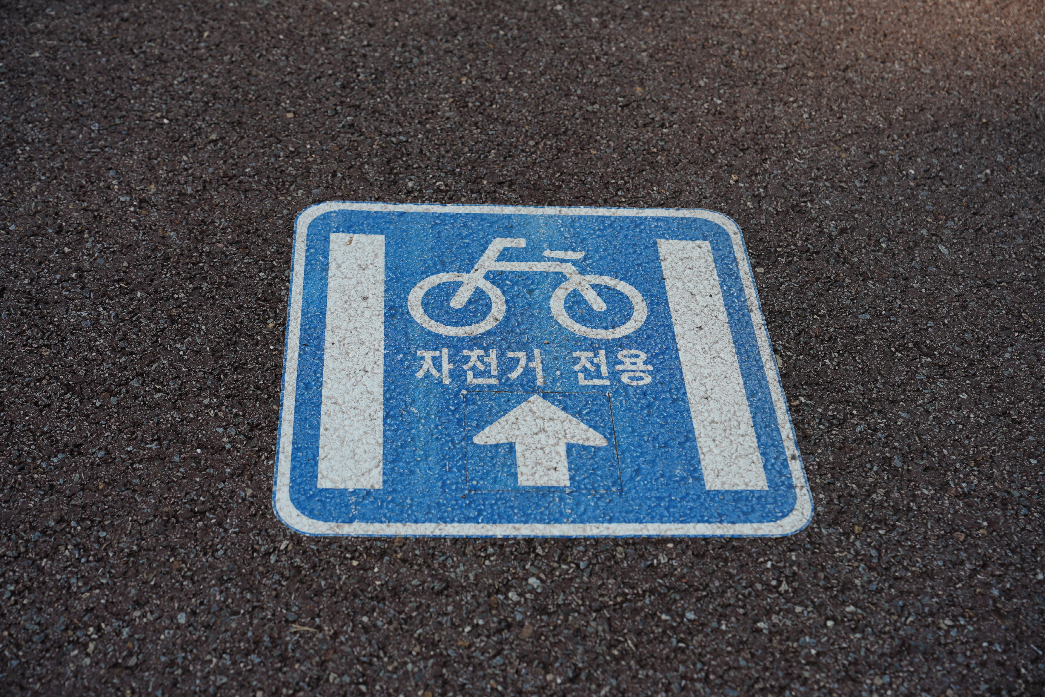 4대강 국토종주 자전거길 여행 충주 탄금대 인증센터 나도 달려보고 싶다