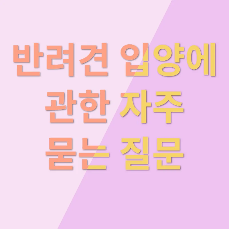 반려견 입양_4