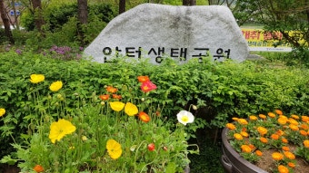 안터 이미지