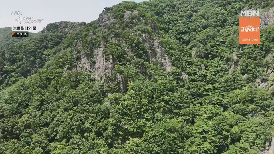 나는 자연인이다.E561.230705p.H264-F1RST.mp4_20230706_213039.125.jpg