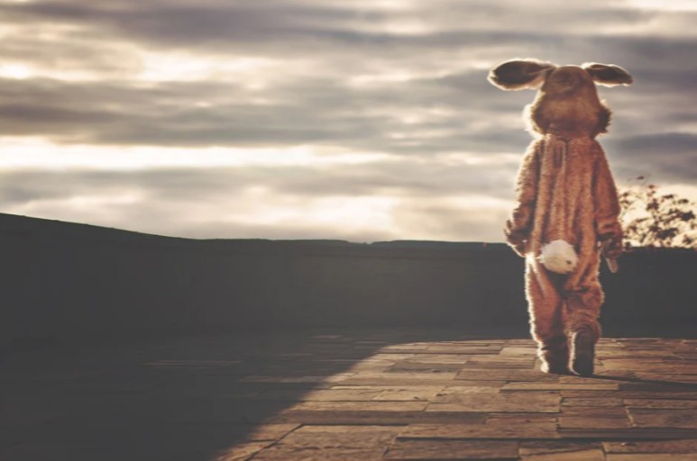 상극 나이 모두 알아봐요 2022년 토끼띠 운세 궁합 3