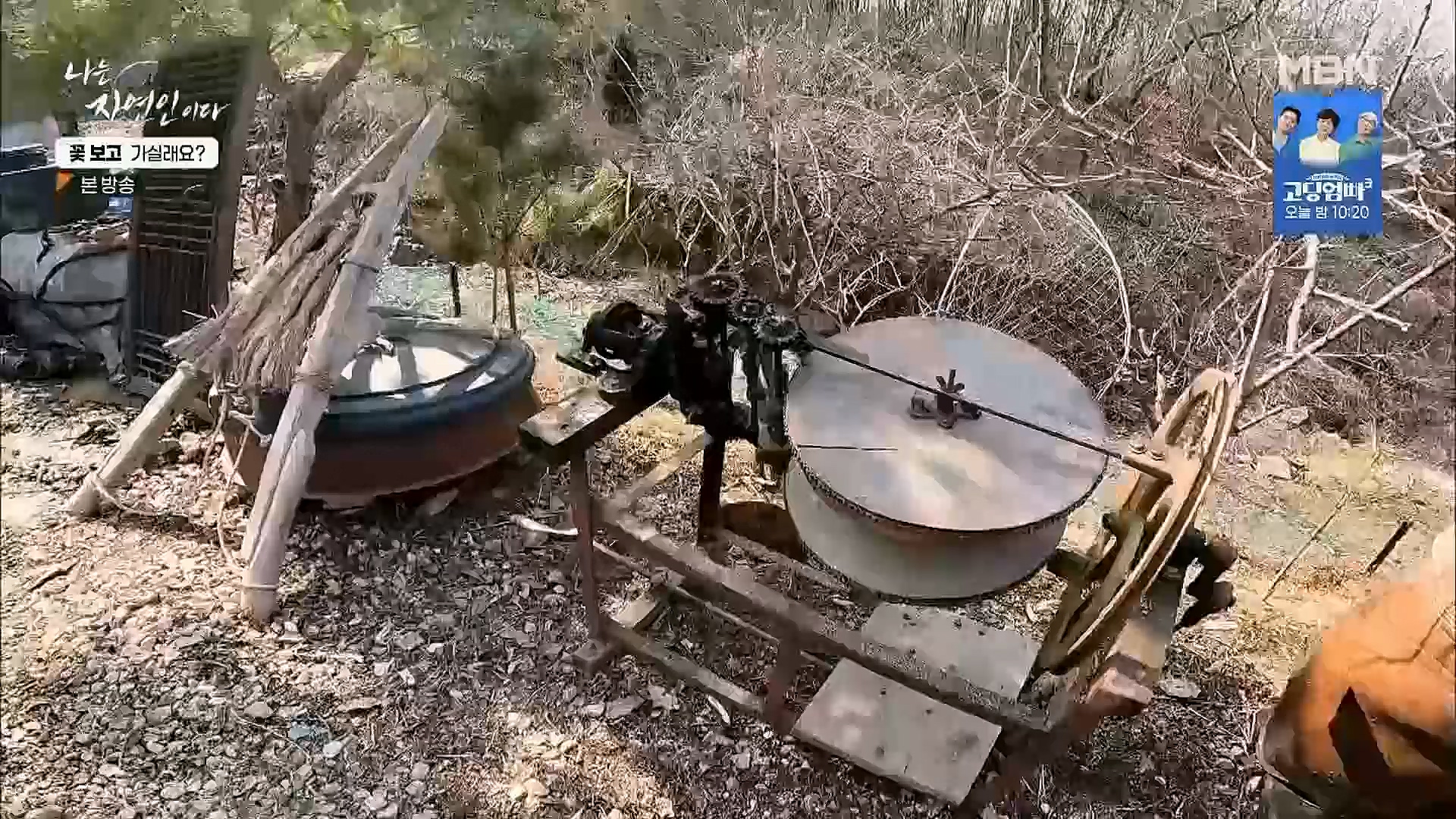 나는 자연인이다.E545.230315p.H264-F1RST.mp4_20230316_212058.302.jpg