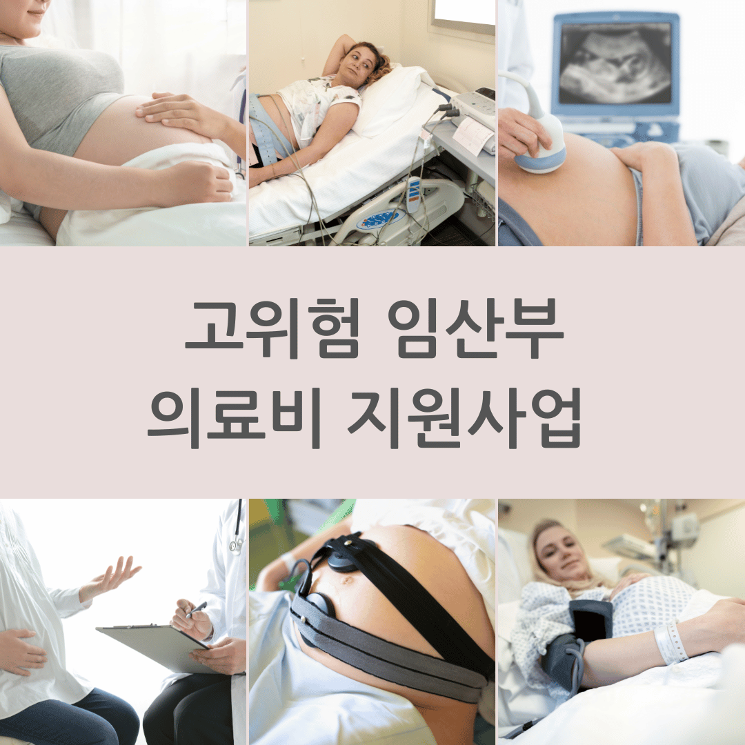 고위험 임산부 의료비 지원 사업 썸네일