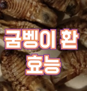 굼벵이-환-효능