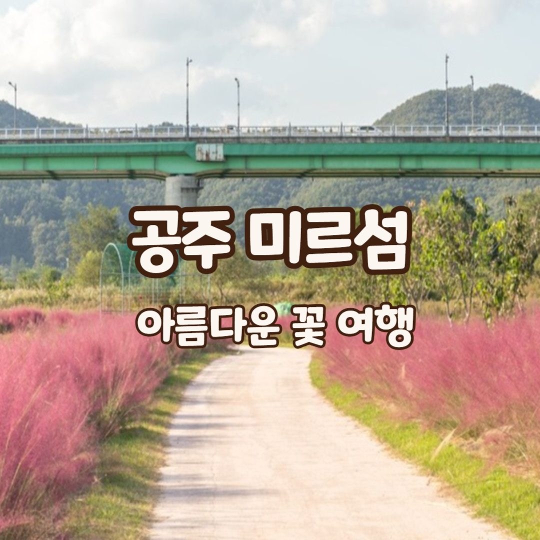 미르섬