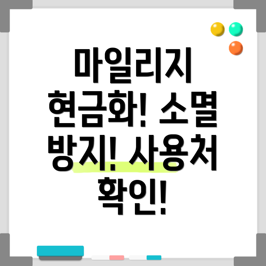 아시아나 마일리지