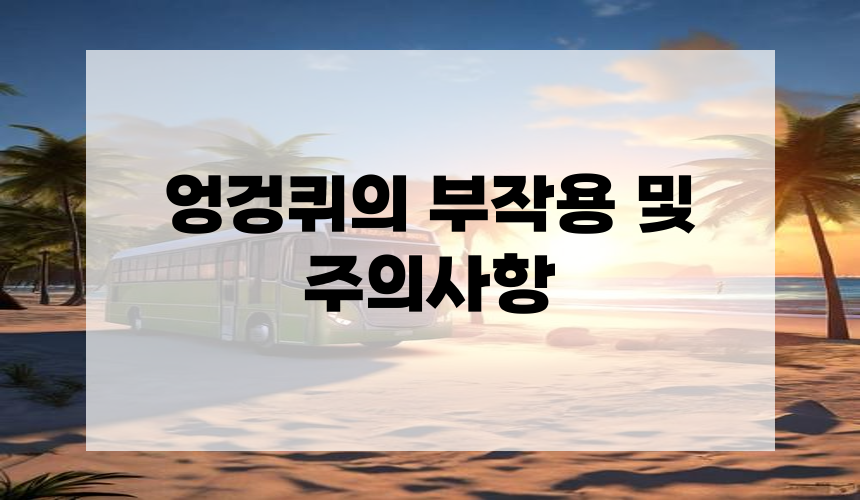 엉겅퀴의 부작용 및 주의사항