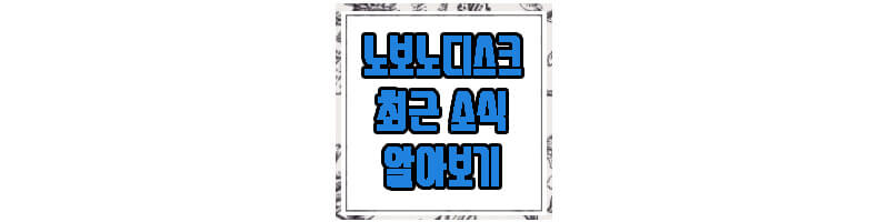 노보노디그크에 관한 글 썸네일