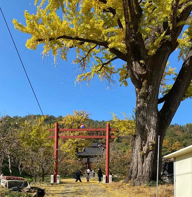 함안향교