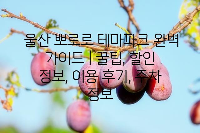 랜덤186