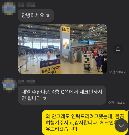 항공비자런-하루전안내