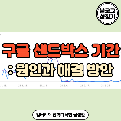  구글 샌드박스 기간에 들어선 티스토리 블로그