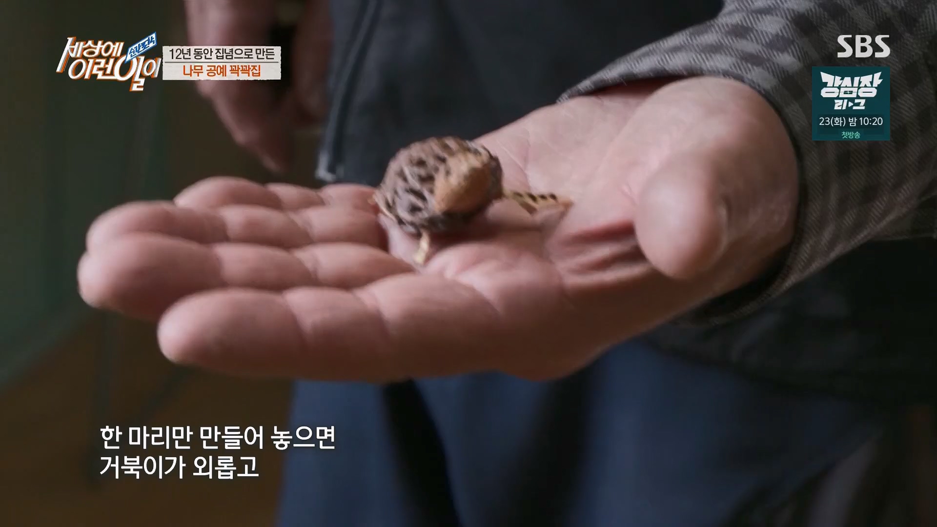 순간포착 세상에 이런일이.E1230.230516p.H264-F1RST.mp4_20230517_193657.044.jpg