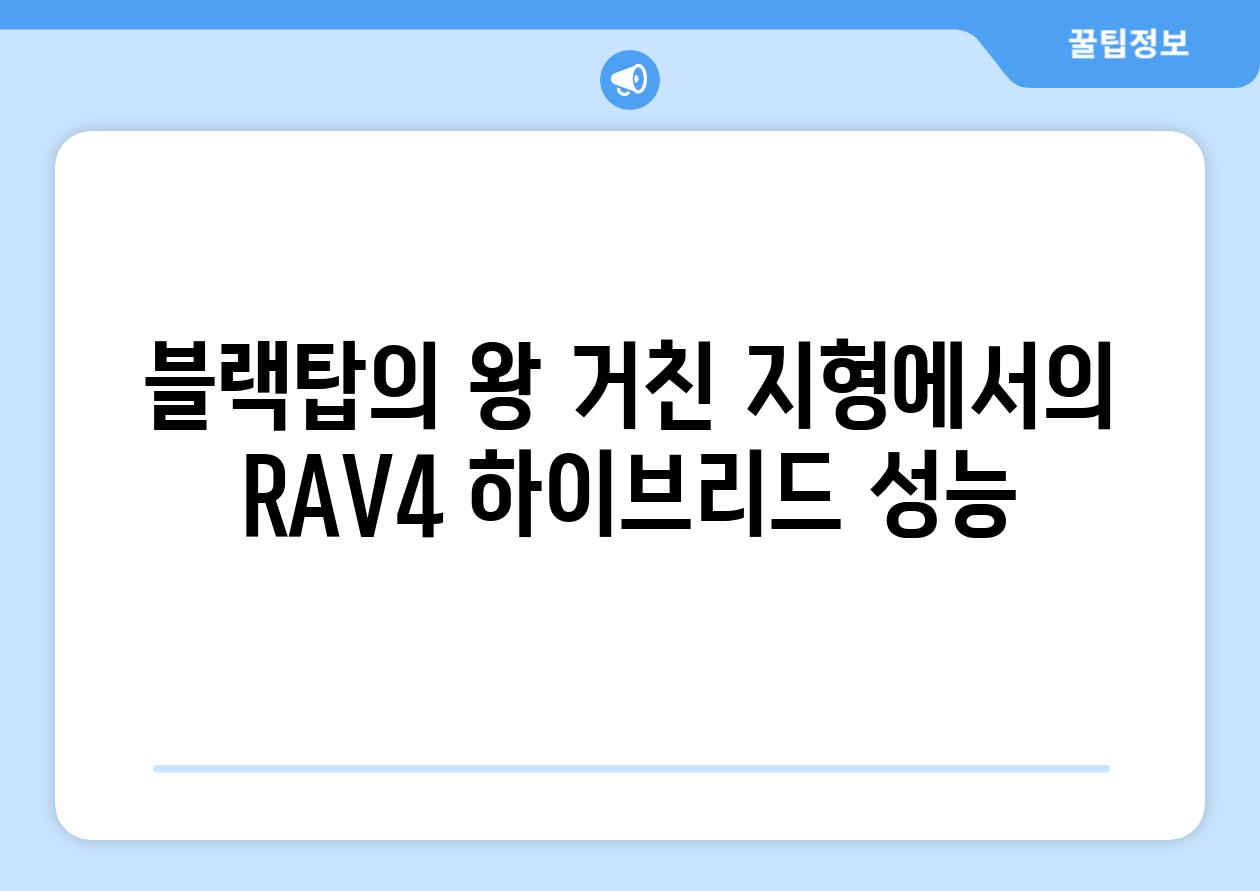 블랙탑의 왕 거친 지형에서의 RAV4 하이브리드 성능