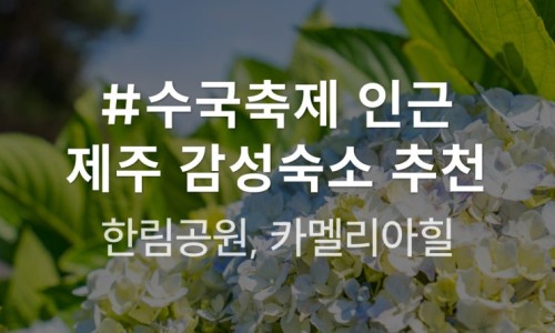 더감성 이미지