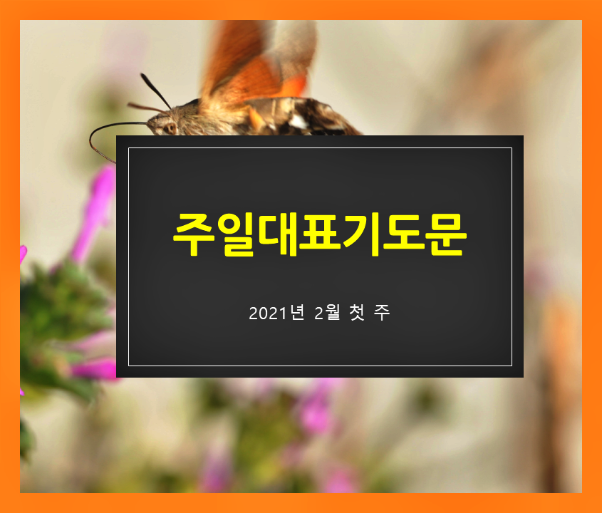  주일대표기도문 2월 첫주