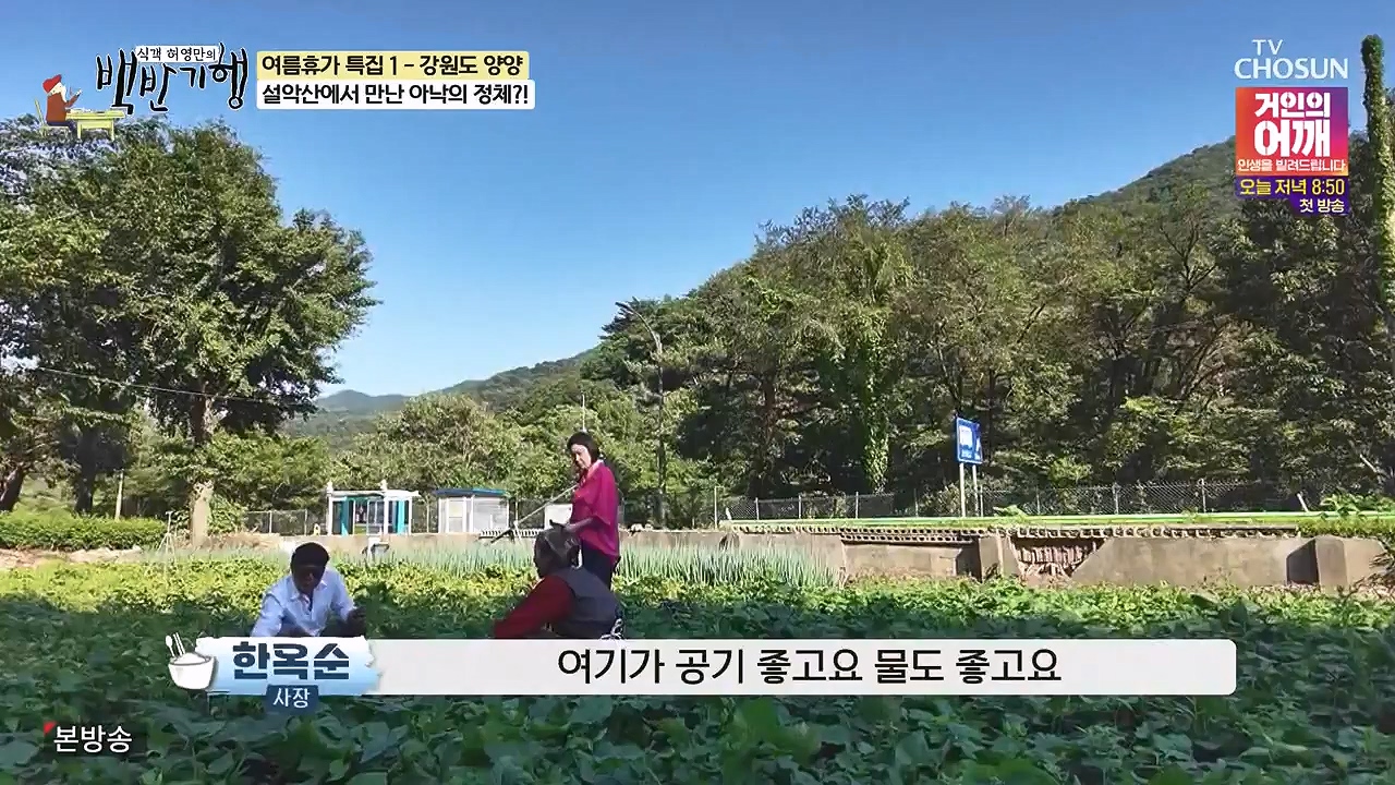 식객 허영만의 백반기행.E257.240722p-NEXT.mp4_20240722_194758.426.jpg