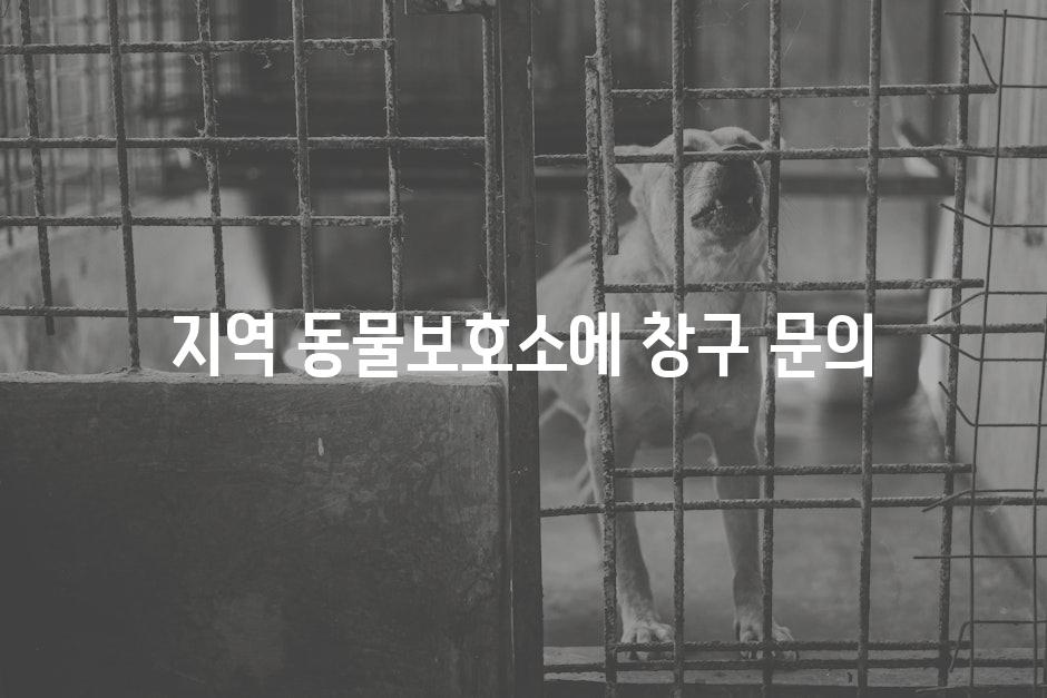 지역 동물보호소에 창구 문의