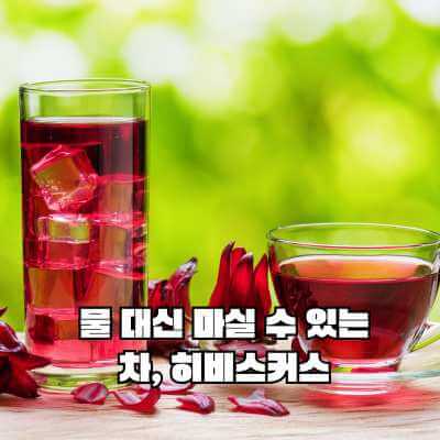 물 대신 마실 수 있는 차 히비스커스차