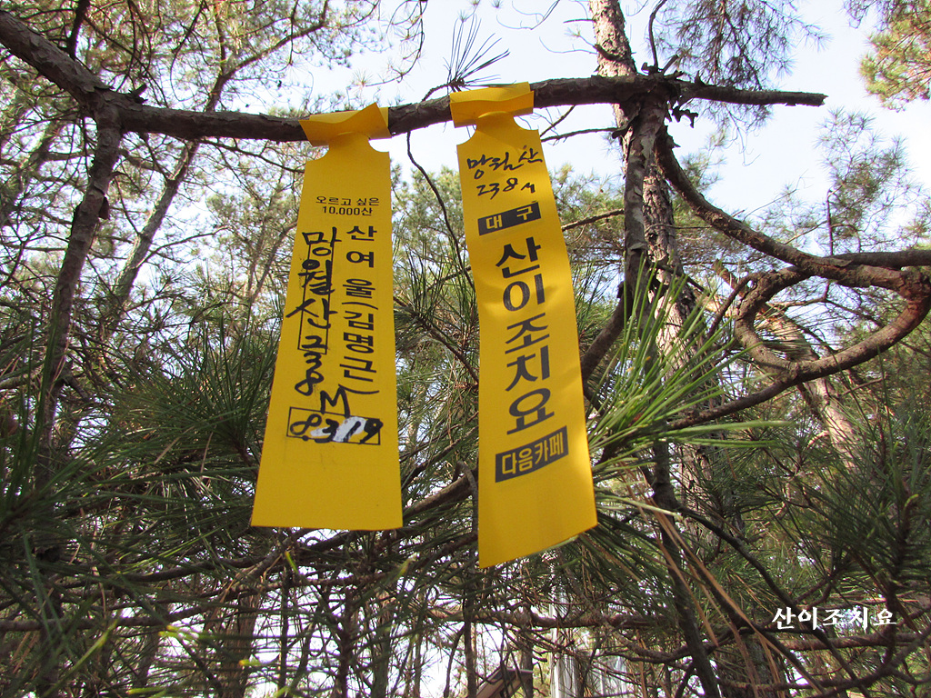 망월산 정상 이미지