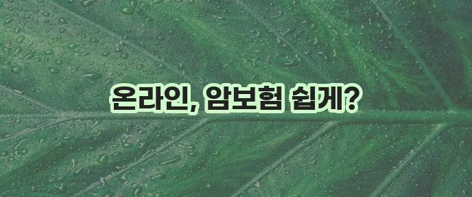 편리한 온라인으로 메리츠화재 암보험 준비하세요!