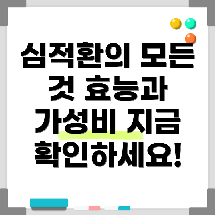 심적환의 효능