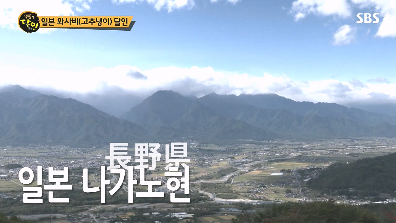 생활의 달인.E908.231017p-NEXT.mp4_20231017_200032.693.jpg