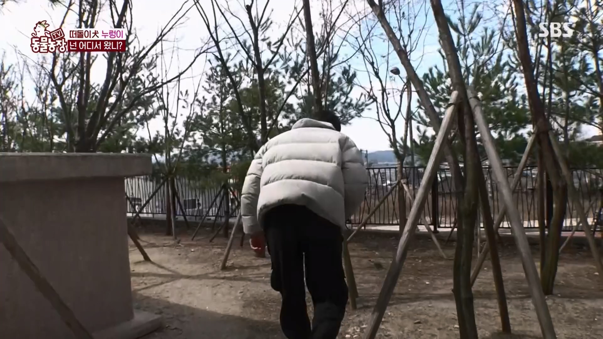 TV 동물농장.E1170.240505p.H264-F1RST.mp4_20240505_153821.588.jpg
