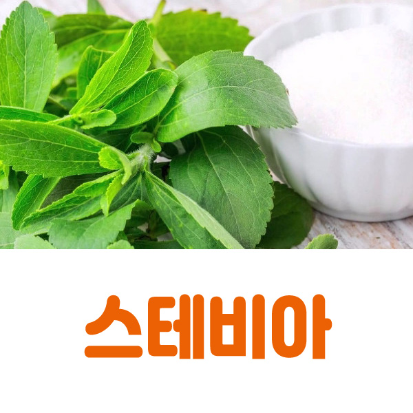  스테비아 설탕대용 대체 효능 부작용